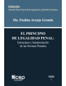 El principio de la legalidad penal: Estructura e interpretación de las normas penales Tomo I